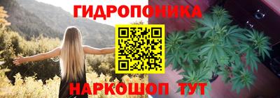 ГАЛЛЮЦИНОГЕННЫЕ ГРИБЫ Краснокаменск