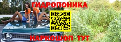 ГАЛЛЮЦИНОГЕННЫЕ ГРИБЫ Краснокаменск
