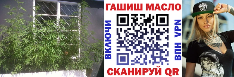 нарко площадка состав  omg зеркало  Красногорск  ТГК THC oil 