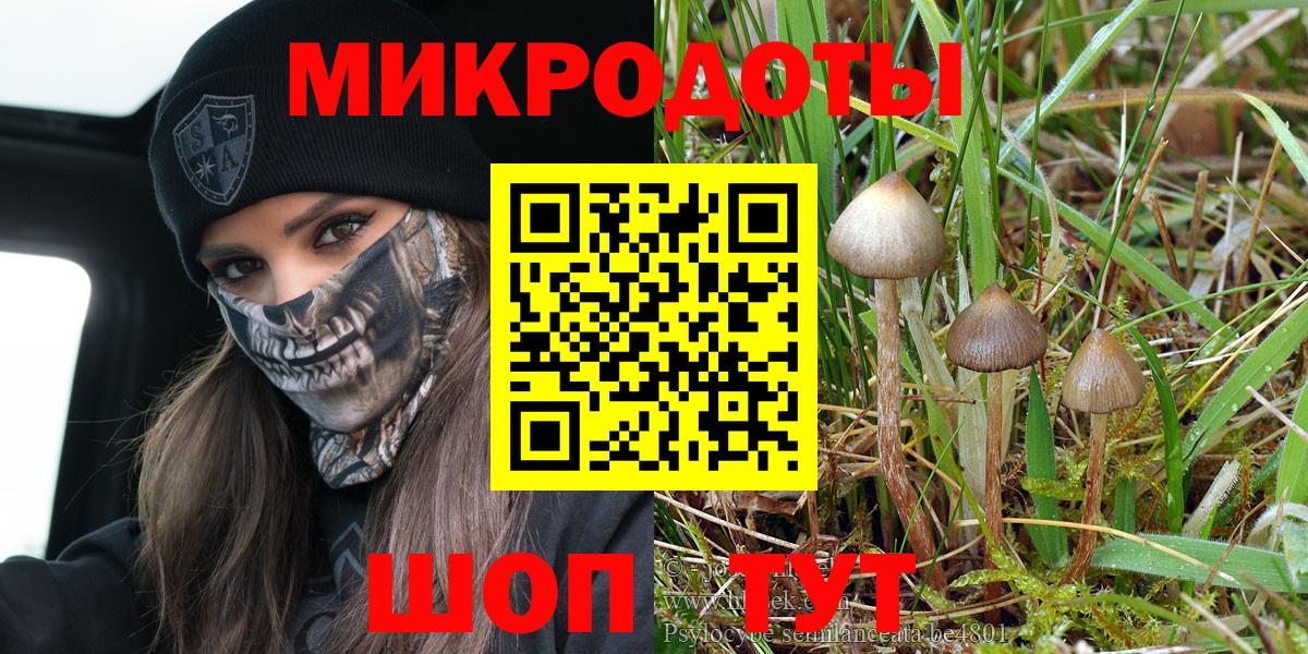 Красногорск  Галлюциногенные грибы Psilocybe  Псилоцибиновые грибы мухоморы  Вход с VPN 